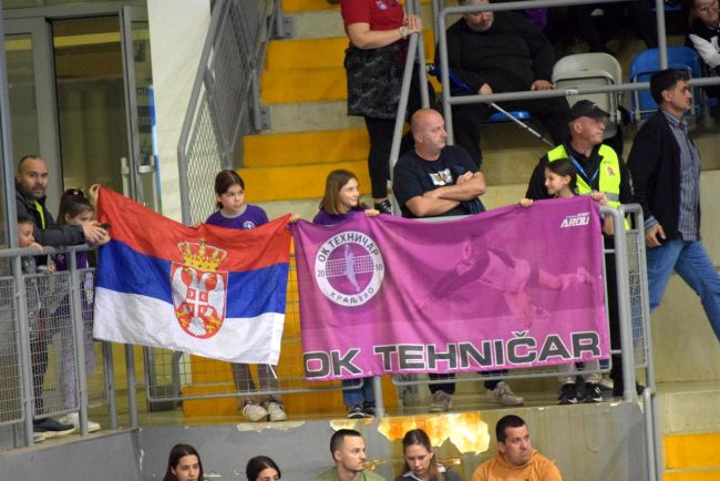 aaaTehničar na tekmi